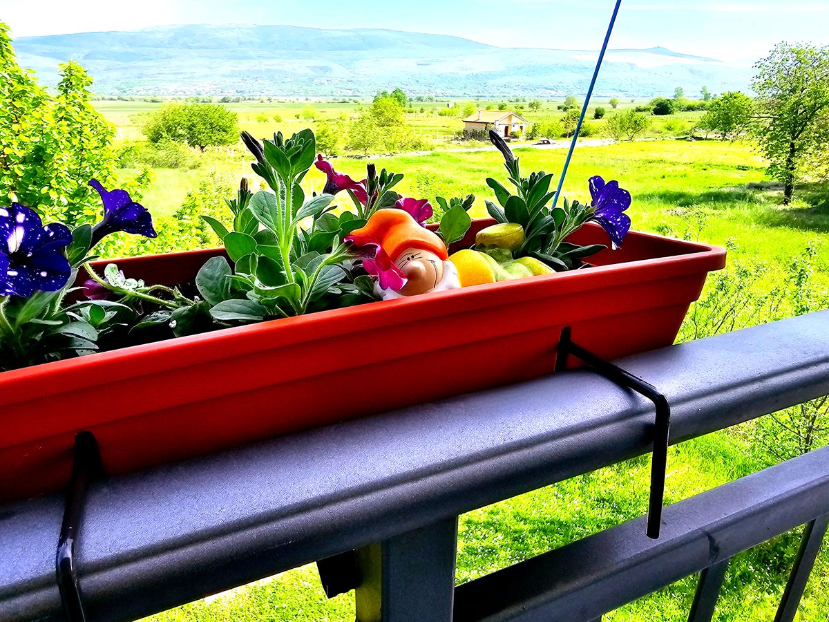 Blumenkasten am Gel&auml;nder mit Bergpanorama, Ferienhaus Biograci