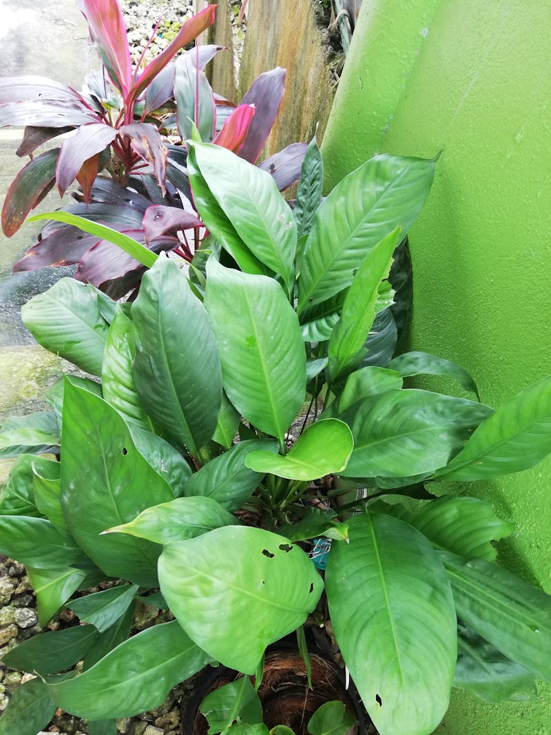Blagaj Tekke Dervish monastery at the source of Buna River